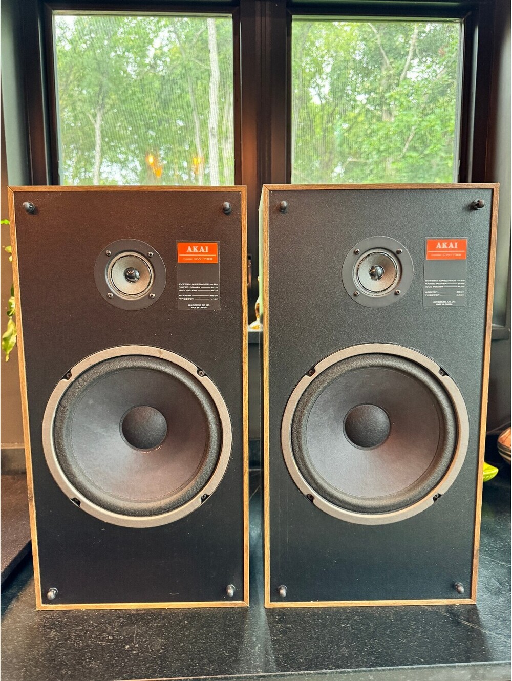 Vintage Akai CW-T33 Speakers – Excellent Condition Pair